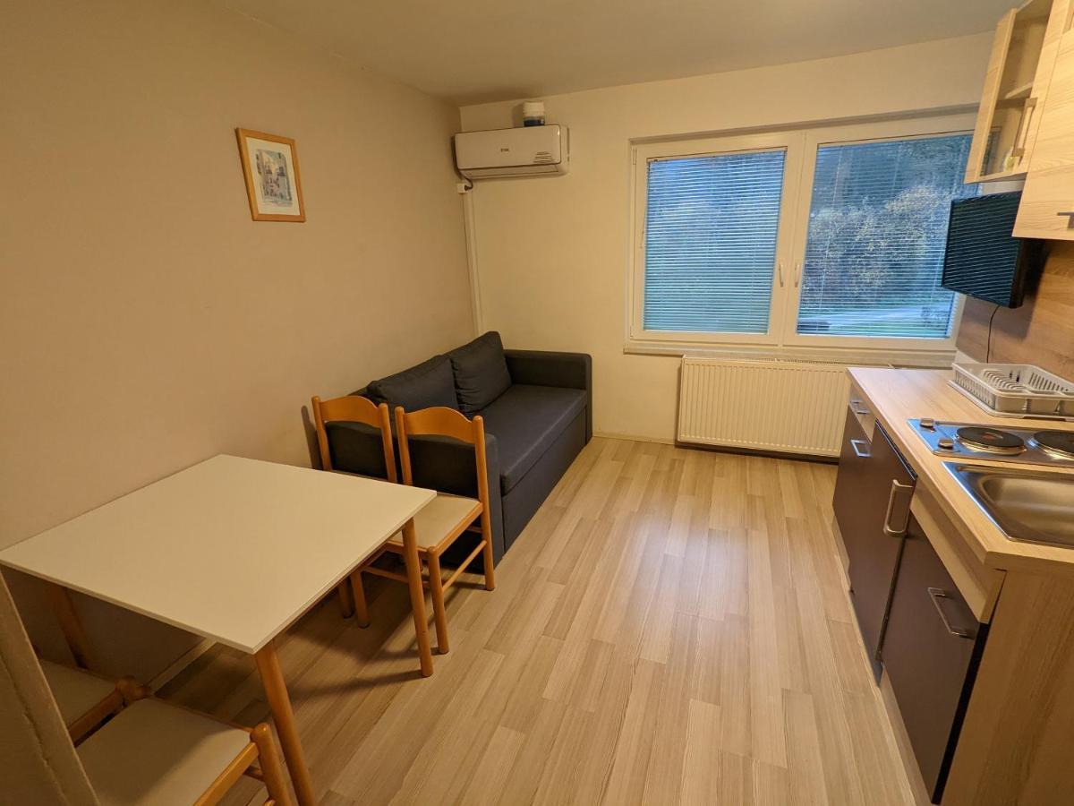 Apartment Domacija Mlaker Podcetrtek