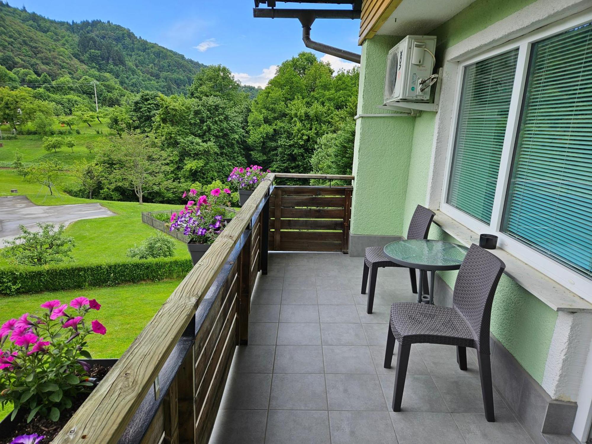 Domacija Mlaker