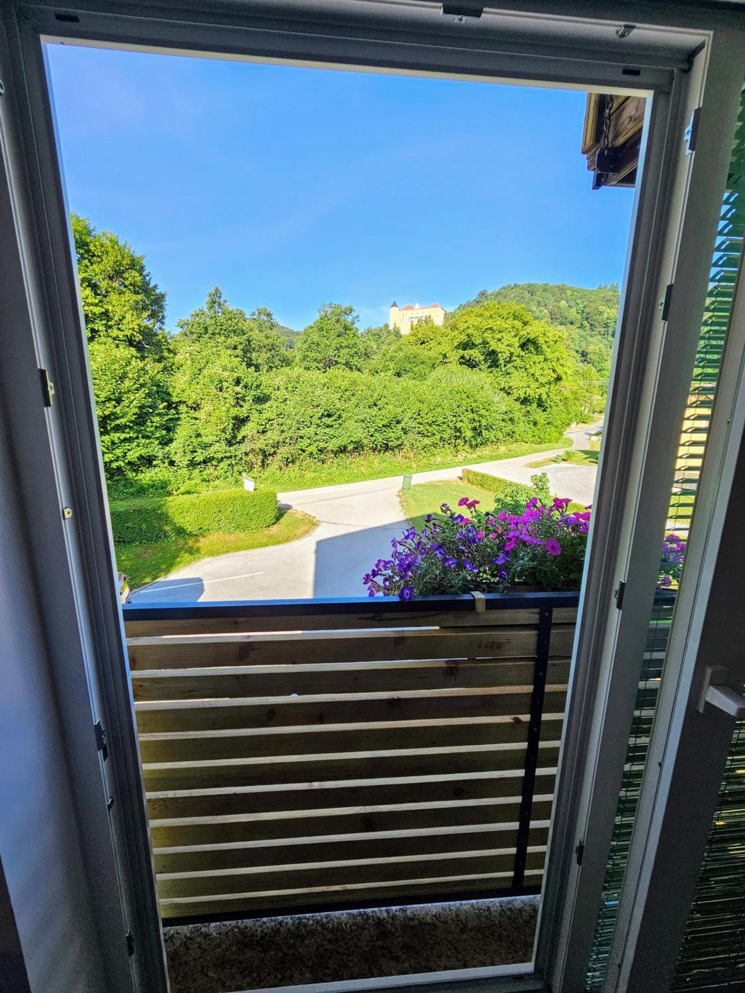 Domacija Mlaker Apartma *